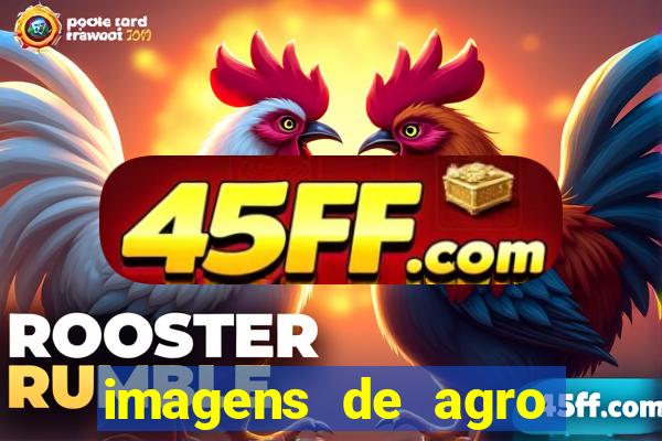 imagens de agro racoes guarani